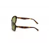 WEB EYEWEAR Moteriški Akiniai Nuo Saulės WE0289-5652N Havana Acetate Square Frame Brown Gradient Lens 56/19/130 mm