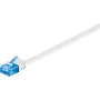 Wentronic 96314 1m Cat6a U/UTP tinklo kabelis, baltas