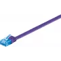 Wentronic 96324 Cat6a U/UTP tinklo kabelis, 2 m, mėlynas