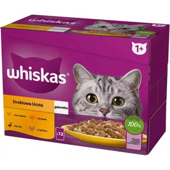 WHISKAS Sachet Jelly Paukštiena, Antis, Kalakutiena, Vištiena – šlapias kačių maistas – 12x85 g
