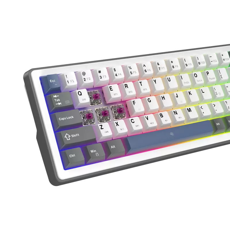 Balta mechaninė klaviatūra White Shark EXCALIBUR M (GK-009251) su Outemu Blue jungikliais, RGB apšvietimu, US išdėstymu