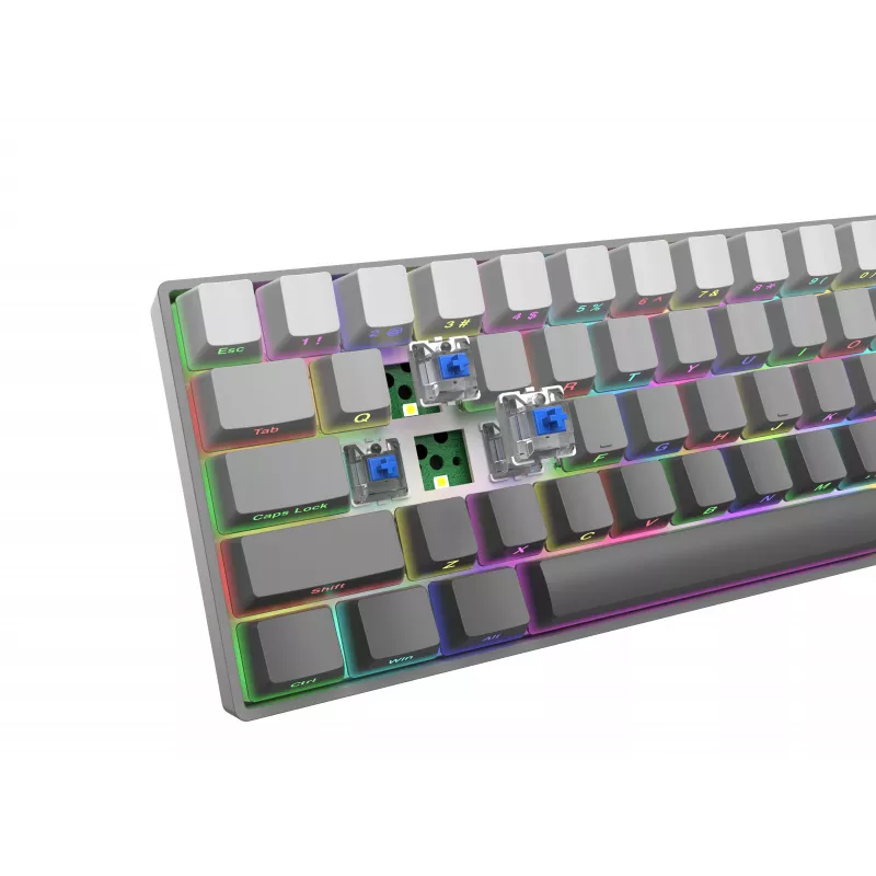 White Shark Nunchaku mechaninė žaidimų klaviatūra TKL, pilka, Outemu Blue jungikliai, RGB hot-swap, laidinė USB