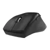 WINX DO ESSENTIAL belaidė pelė 2.4 GHz optinė 1600 DPI juoda