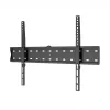 WINX MOUNT SIMPLE TV laikiklis 14–42 colių ekranams, fiksuotas sieninis laikiklis, VESA 75x75–200x200, 25 kg, juodas