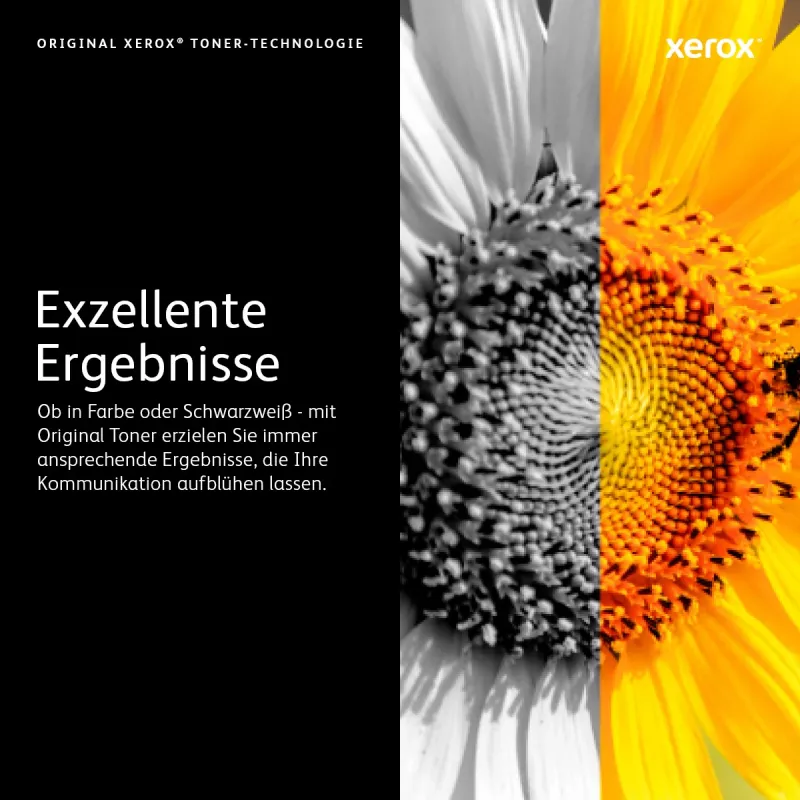 Xerox Phaser 3435 Original Juodas Tonerio Kasetė Didelės Talpos 10000 Puslapių