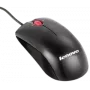 Pelė IBM Optical Wheel Mouse 41U3030 USB