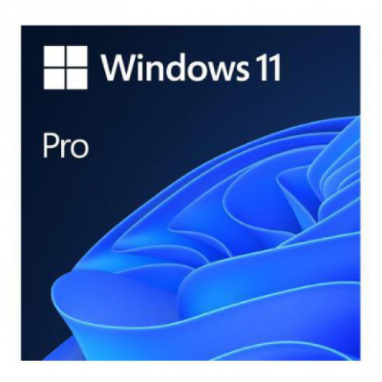 Win 11 Pro 64Bit Eng Intl 1pk DSP OEI DVD