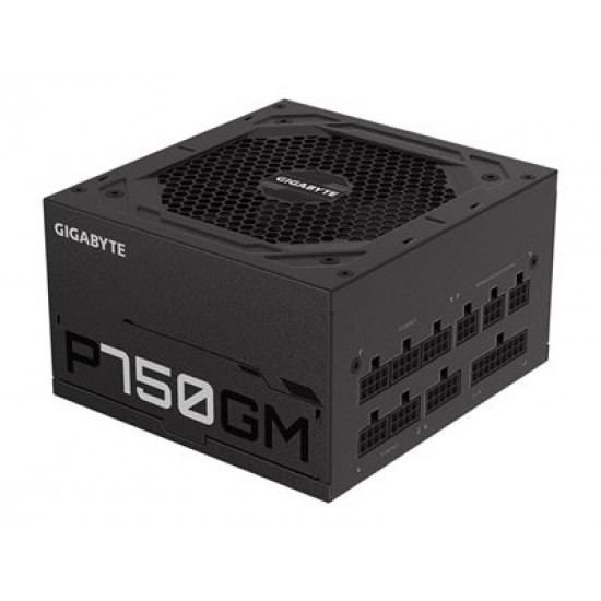 GIGABYTE GP-P750GM 750W ATX 12V v2.31 80 PLUS Gold certified Power Supply